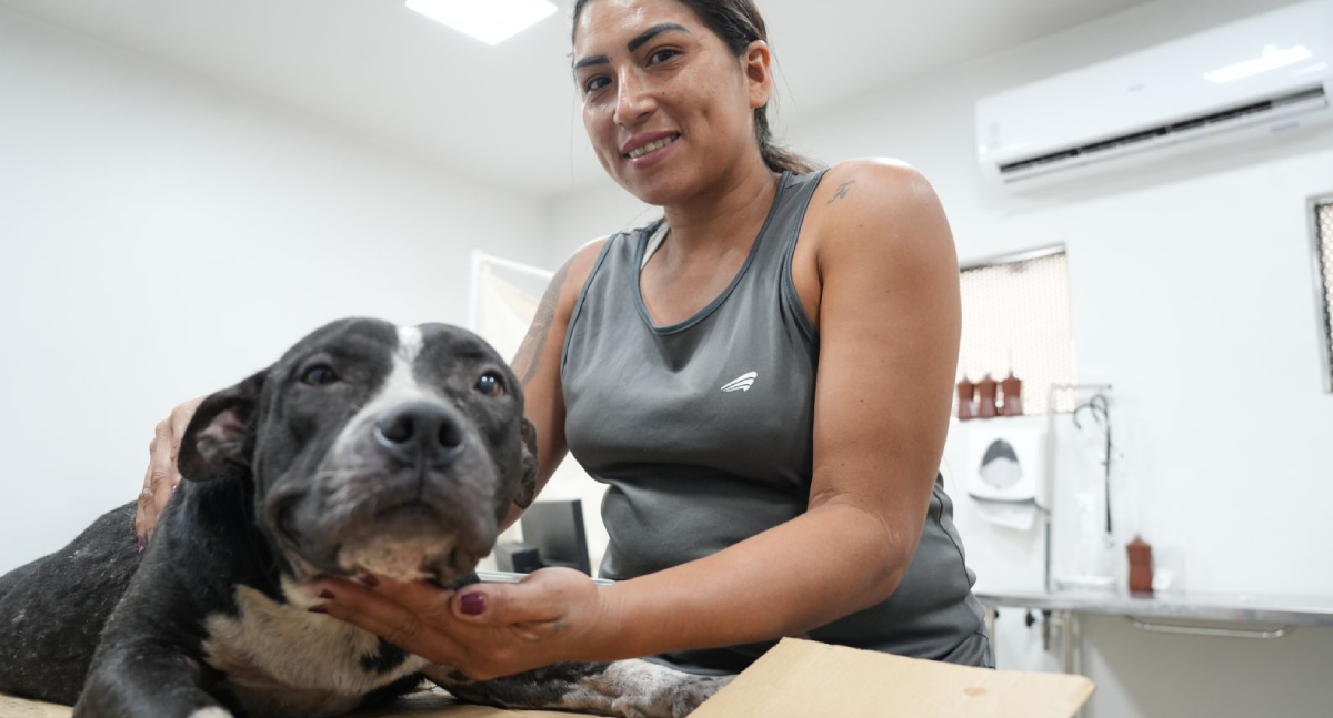 Bem-Estar Animal: saiba como funciona o atendimento gratuito