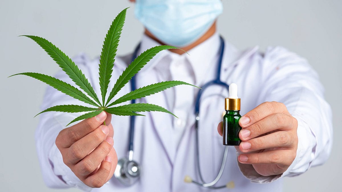 Por que o tratamento com cannabis medicinal ainda depende da Justiça para chegar a pacientes rondonienses?