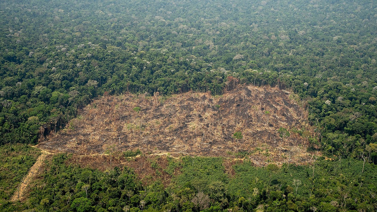 Violência contra povos indígenas em Rondônia: ameaças, terra e o preço da resistência