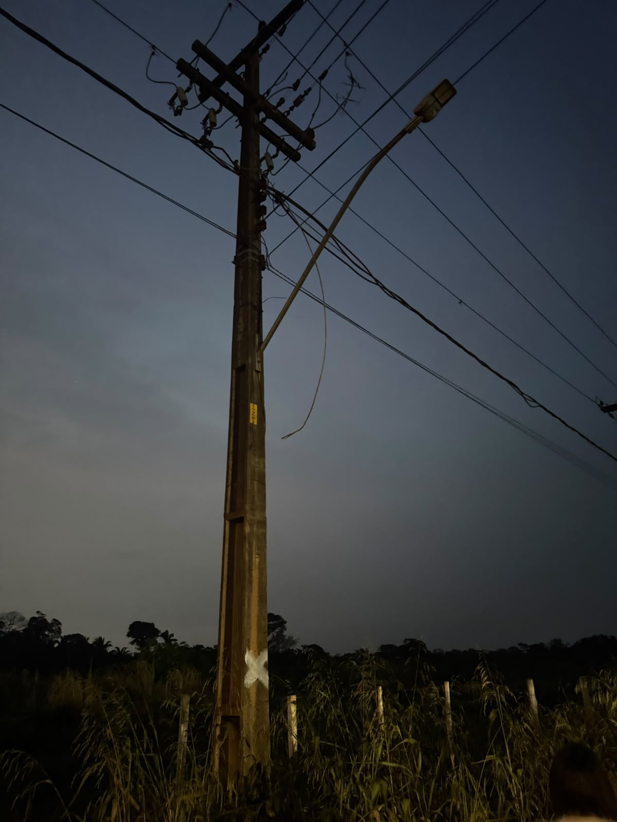 Edimilson Dourado alerta sobre necessidade de poda de árvores na Zona Sul para prevenir quedas e problemas de energia