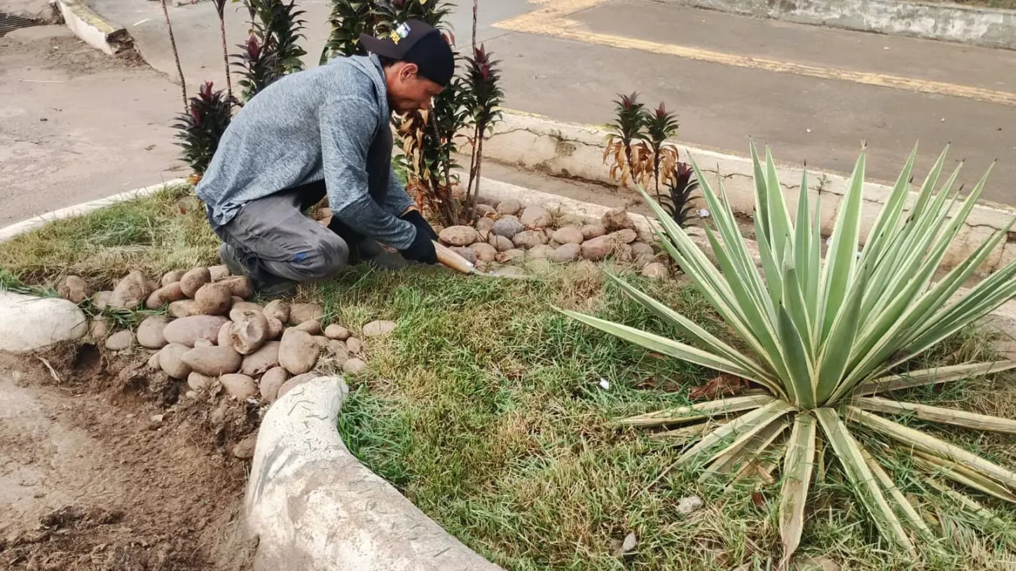 Início da manutenção dos jardins de chuva em Porto Velho pela Prefeitura
