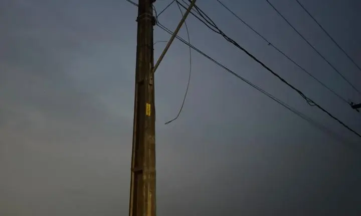 Edimilson Dourado alerta sobre necessidade de poda de árvores na Zona Sul para prevenir quedas e problemas de energia