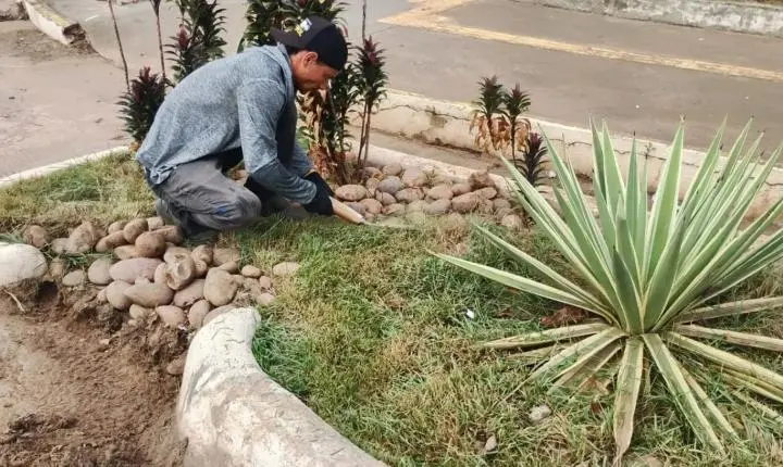 Início da manutenção dos jardins de chuva em Porto Velho pela Prefeitura